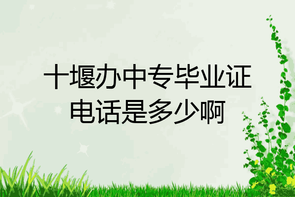 十堰办中专毕业证电话是多少啊