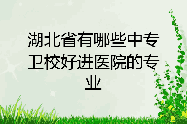 湖北省有哪些中专卫校好进医院的专业