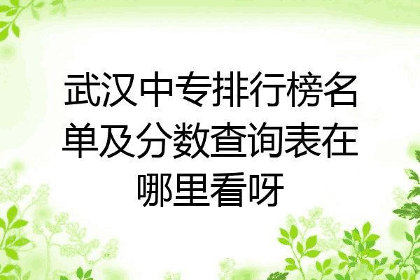 武汉中专排行榜名单及分数查询表在哪里看呀