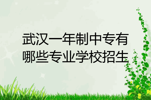 武汉一年制中专有哪些专业学校招生