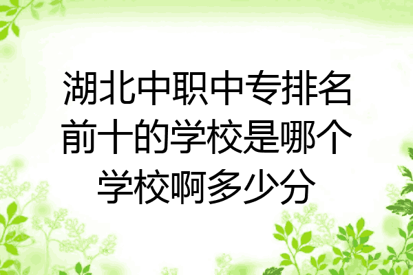 湖北中职中专排名前十的学校是哪个学校啊多少分