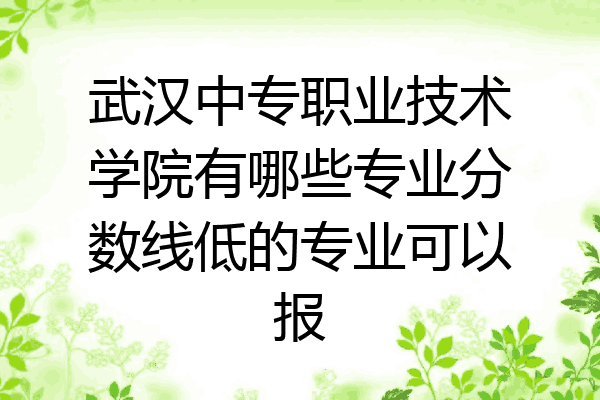 武汉中专职业技术学院有哪些专业分数线低的专业可以报
