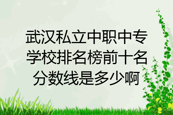 武汉私立中职中专学校排名榜前十名分数线是多少啊
