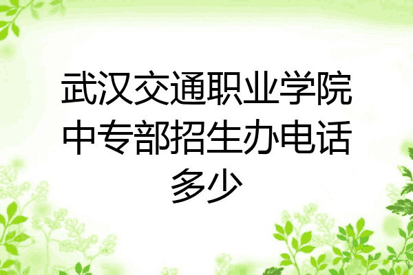 武汉交通职业学院中专部招生办电话多少