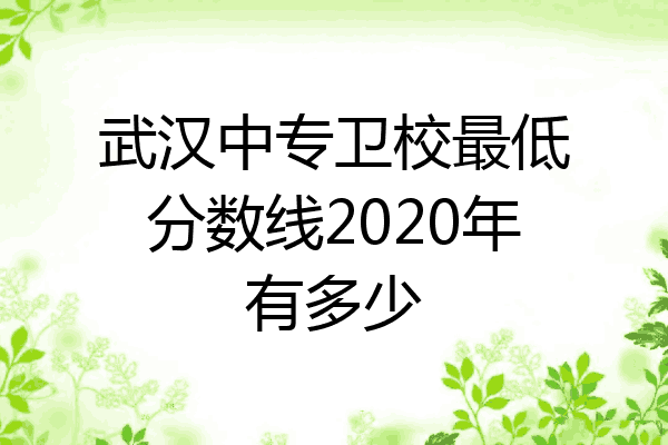 武汉中专卫校最低分数线2020年有多少