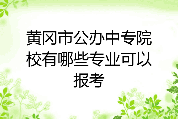 黄冈市公办中专院校有哪些专业可以报考