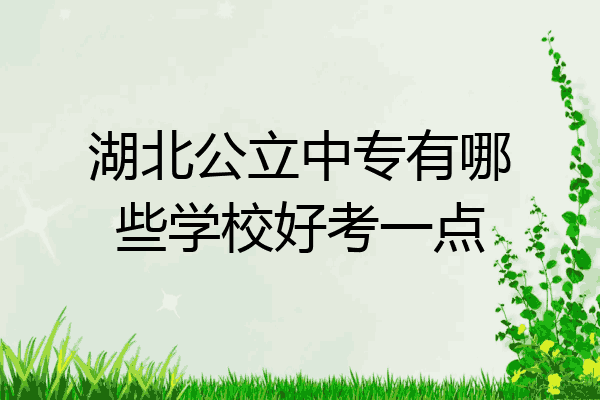 湖北公立中专有哪些学校好考一点