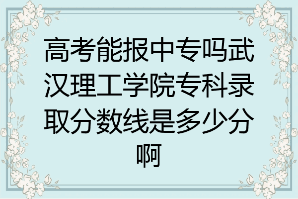 高考能报中专吗武汉理工学院专科录取分数线是多少分啊