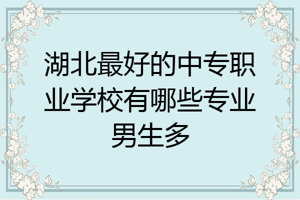 湖北最好的中专职业学校有哪些专业男生多