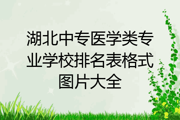 湖北中专医学类专业学校排名表格式图片大全