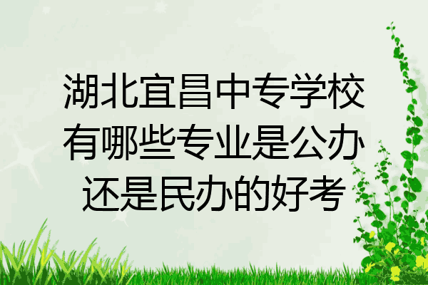 湖北宜昌中专学校有哪些专业是公办还是民办的好考