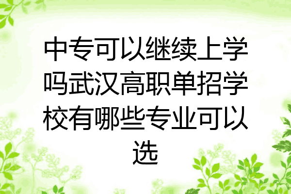 中专可以继续上学吗武汉高职单招学校有哪些专业可以选