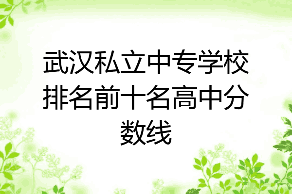 武汉私立中专学校排名前十名高中分数线