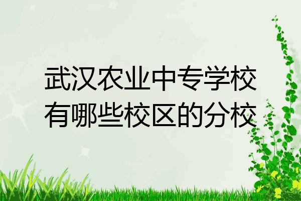 武汉农业中专学校有哪些校区的分校
