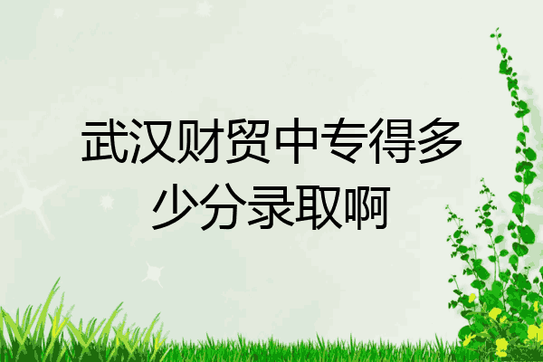 武汉财贸中专得多少分录取啊