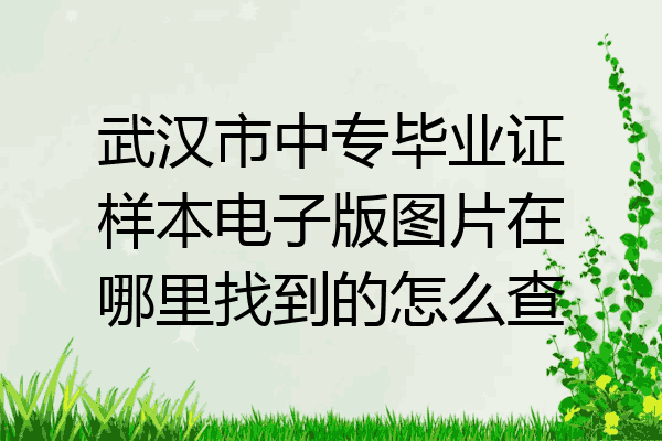 武汉市中专毕业证样本电子版图片在哪里找到的怎么查