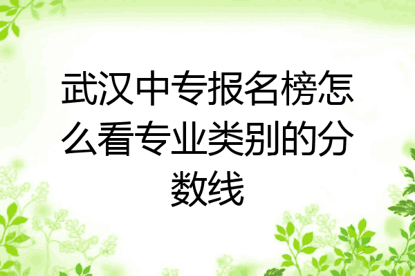 武汉中专报名榜怎么看专业类别的分数线