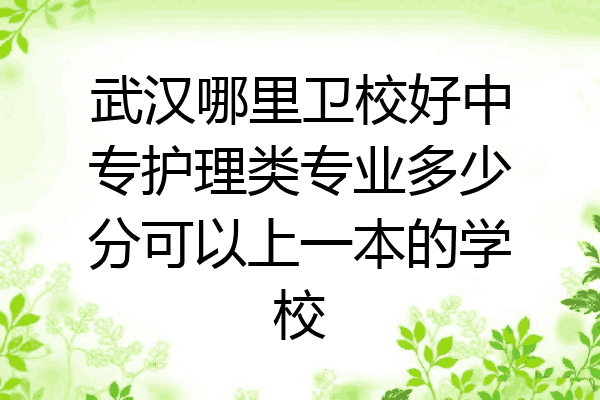 武汉哪里卫校好中专护理类专业多少分可以上一本的学校
