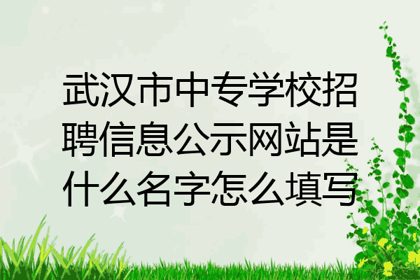 武汉市中专学校招聘信息公示网站是什么名字怎么填写