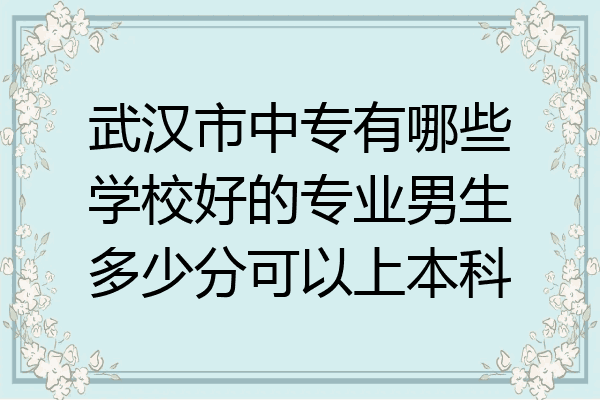 武汉市中专有哪些学校好的专业男生多少分可以上本科