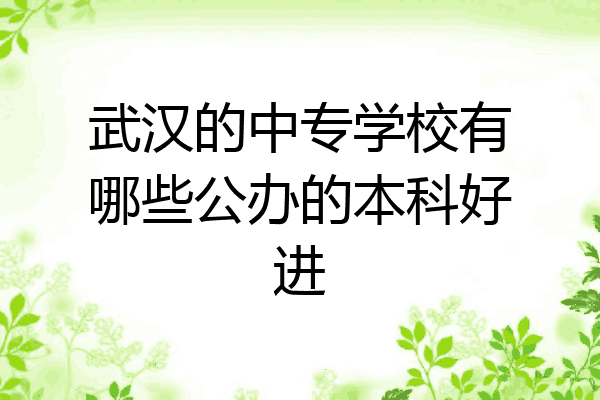 武汉的中专学校有哪些公办的本科好进