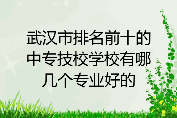武汉市排名前十的中专技校学校有哪几个专业好的