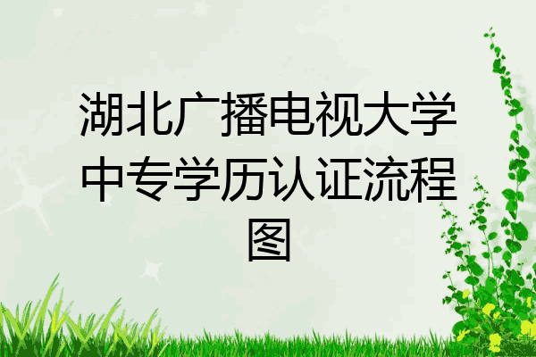 湖北广播电视大学中专学历认证流程图