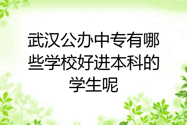 武汉公办中专有哪些学校好进本科的学生呢