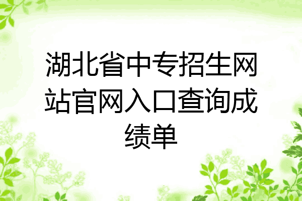 湖北省中专招生网站官网入口查询成绩单