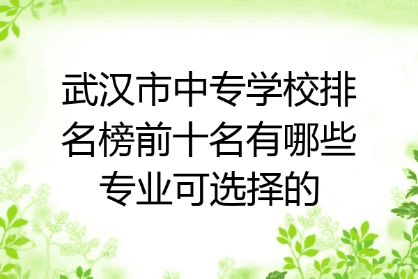 武汉市中专学校排名榜前十名有哪些专业可选择的
