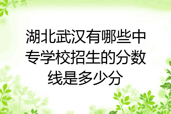 湖北武汉有哪些中专学校招生的分数线是多少分