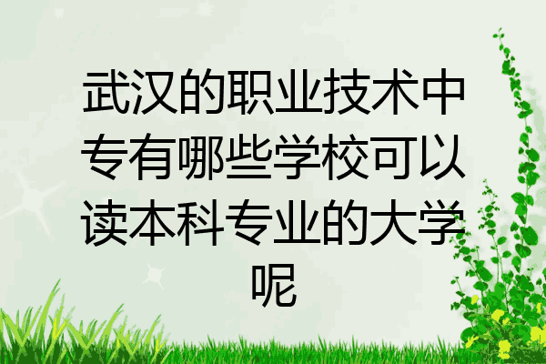 武汉的职业技术中专有哪些学校可以读本科专业的大学呢
