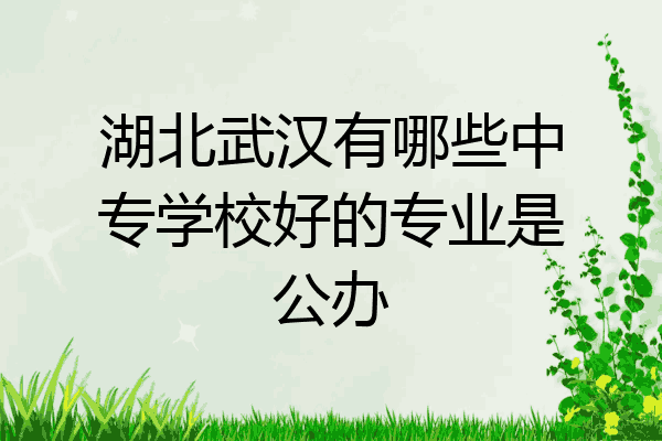 湖北武汉有哪些中专学校好的专业是公办