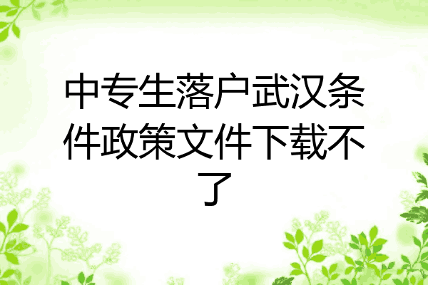 中专生落户武汉条件政策文件下载不了