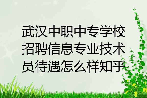 武汉中职中专学校招聘信息专业技术员待遇怎么样知乎