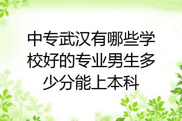 中专武汉有哪些学校好的专业男生多少分能上本科