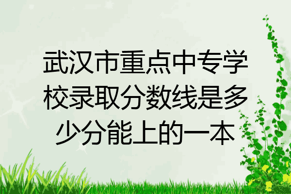 武汉市重点中专学校录取分数线是多少分能上的一本