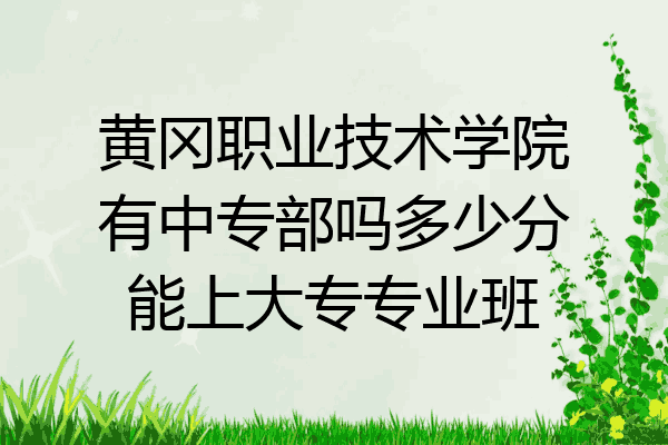 黄冈职业技术学院有中专部吗多少分能上大专专业班