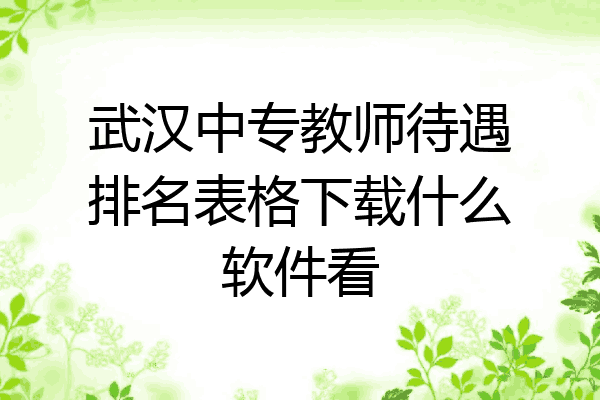 武汉中专教师待遇排名表格下载什么软件看