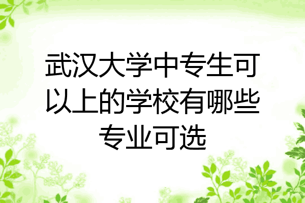 武汉大学中专生可以上的学校有哪些专业可选