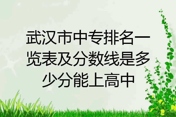 武汉市中专排名一览表及分数线是多少分能上高中