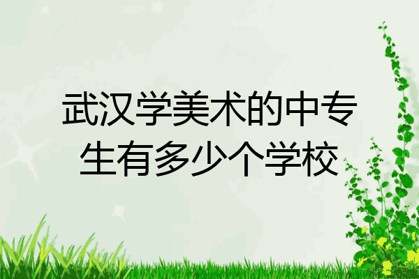 武汉学美术的中专生有多少个学校