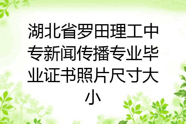 湖北省罗田理工中专新闻传播专业毕业证书照片尺寸大小
