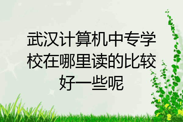 武汉计算机中专学校在哪里读的比较好一些呢