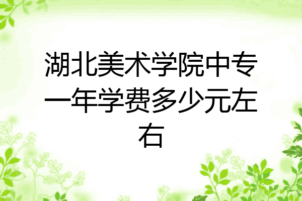 湖北美术学院中专一年学费多少元左右