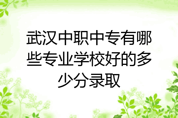 武汉中职中专有哪些专业学校好的多少分录取