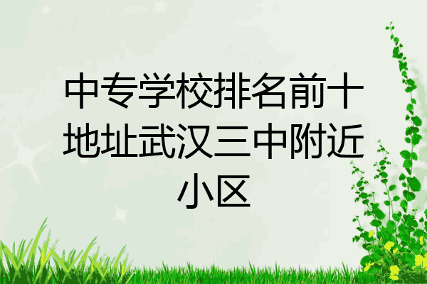 中专学校排名前十地址武汉三中附近小区
