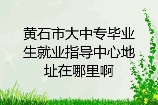 黄石市大中专毕业生就业指导中心地址在哪里啊