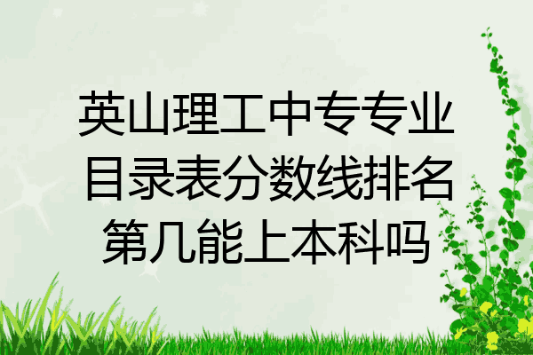英山理工中专专业目录表分数线排名第几能上本科吗