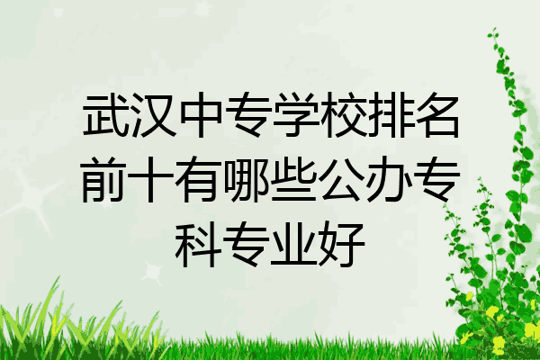 武汉中专学校排名前十有哪些公办专科专业好